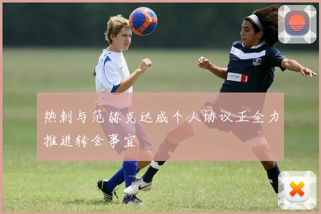 热刺与范赫克达成个人协议正全力推进转会事宜