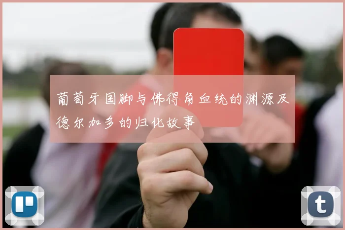 葡萄牙国脚与佛得角血统的渊源及德尔加多的归化故事